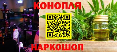 прущие грибы Усть-Джегута