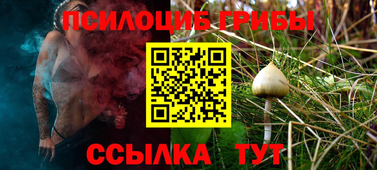 Александров  Галлюциногенные грибы мухоморы  Вход с VPN 