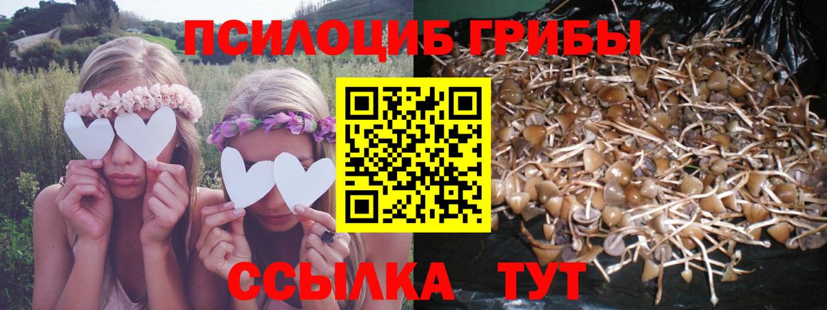 Псилоцибиновые грибы ЛСД Александров